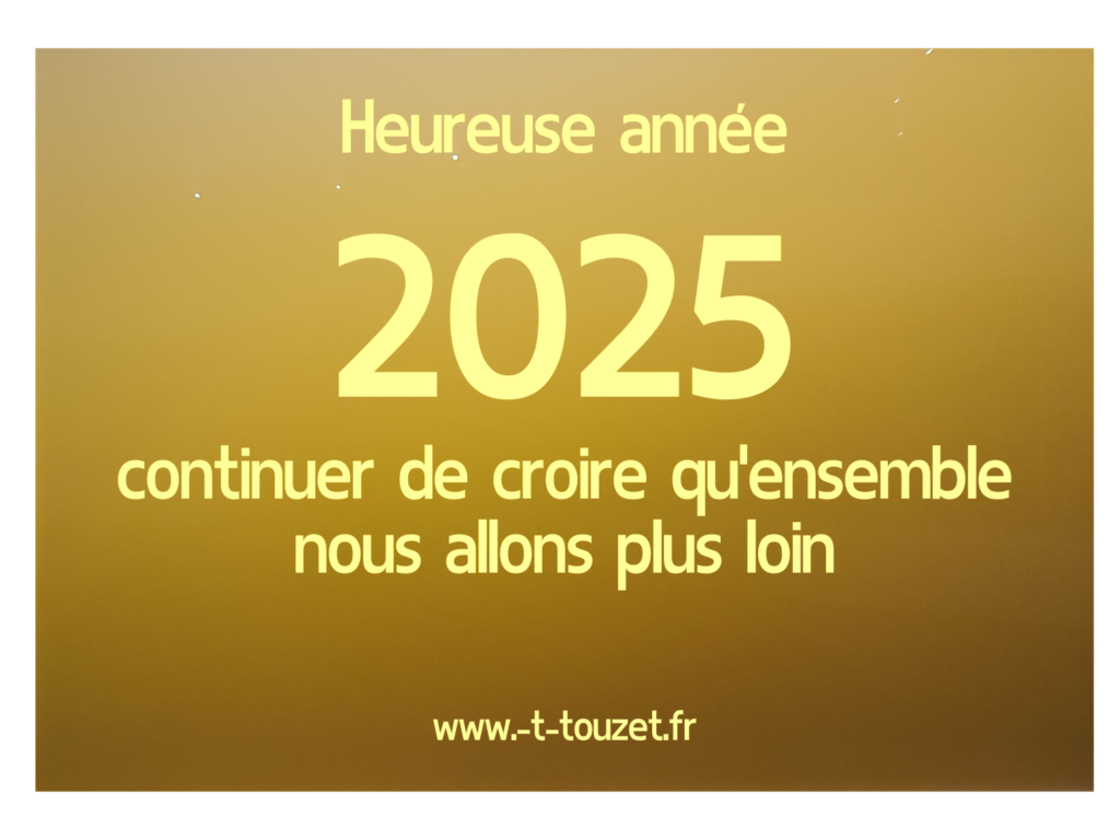 Mes meilleurs voeux 2025 t-touzet